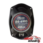 نمای جزئیات اسپیکر دیانا مدل DS-6995 با توان بالا و طراحی بیضی حرکت و نصب پشتی